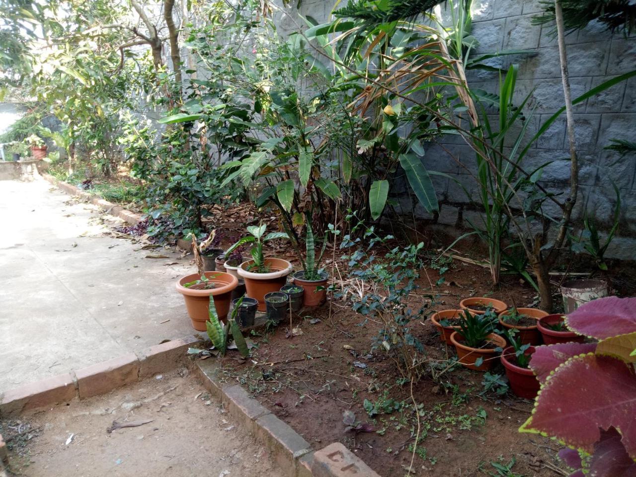 Coorg Villas Madikeri Kültér fotó